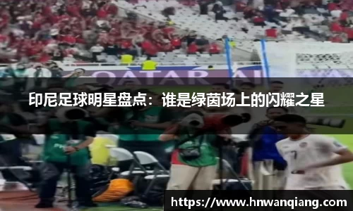 印尼足球明星盘点：谁是绿茵场上的闪耀之星