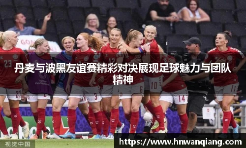 丹麦与波黑友谊赛精彩对决展现足球魅力与团队精神
